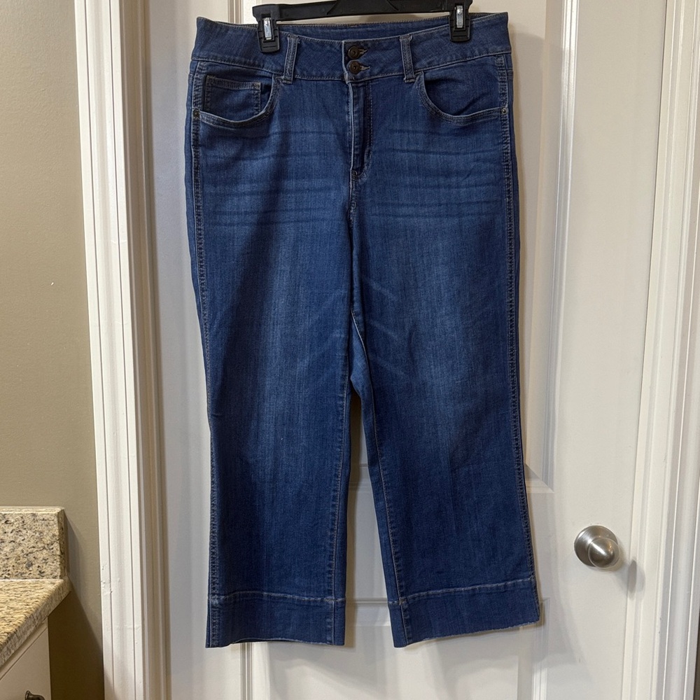 Time and Tru Dark Blue Ankle Jeans